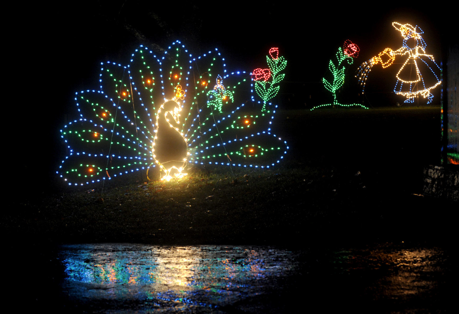 FESTIVAL OF LIGHTS 2009